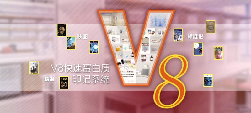 上海網站制作